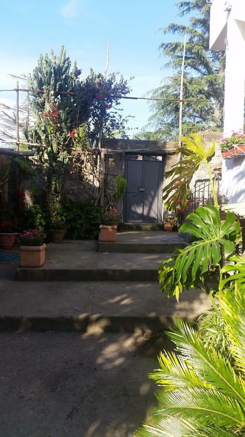 Casa Carolina B&B Sorrento Exteriér fotografie