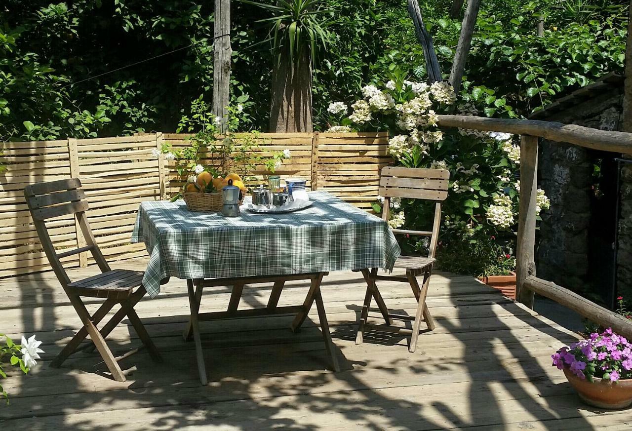 Casa Carolina B&B Sorrento Exteriér fotografie