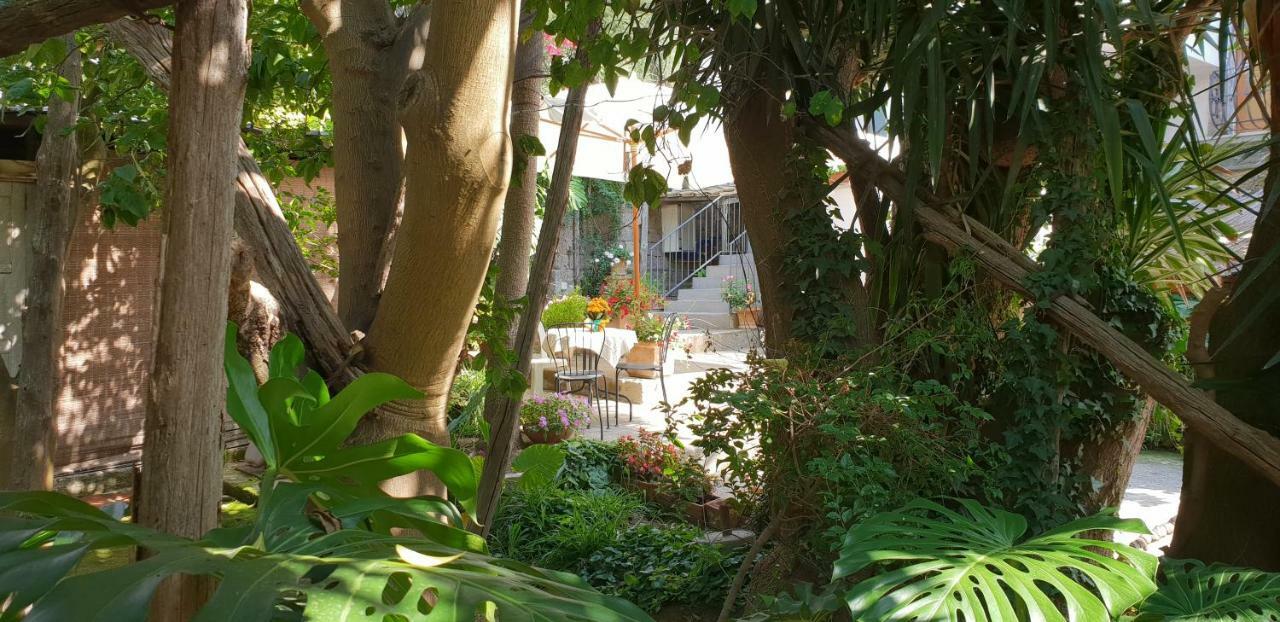 Casa Carolina B&B Sorrento Exteriér fotografie